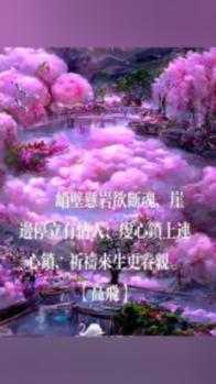 hahabet官网官方入口